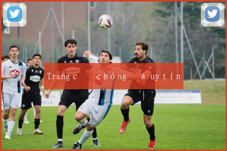 Trang cược bóng đá uy tín