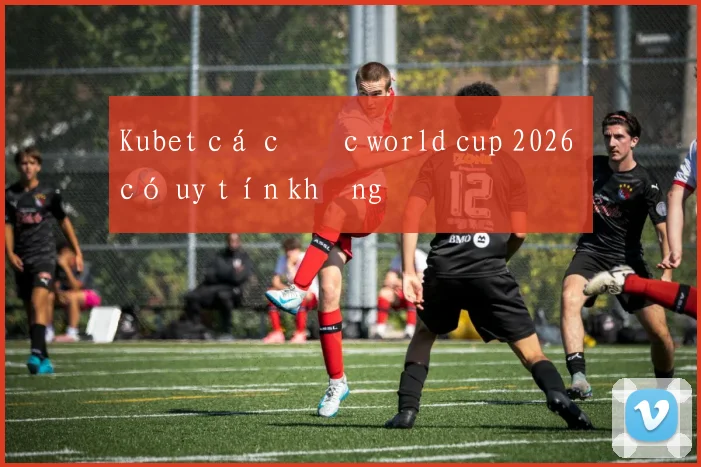 Kubet cá cược world cup 2026 có uy tín không