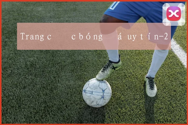 Trang cược bóng đá uy tín